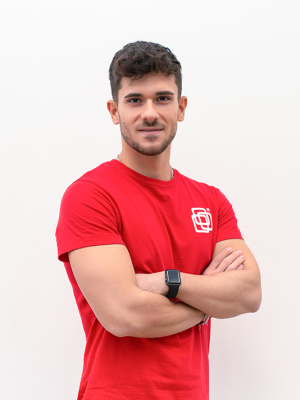 Alessandro L Siro